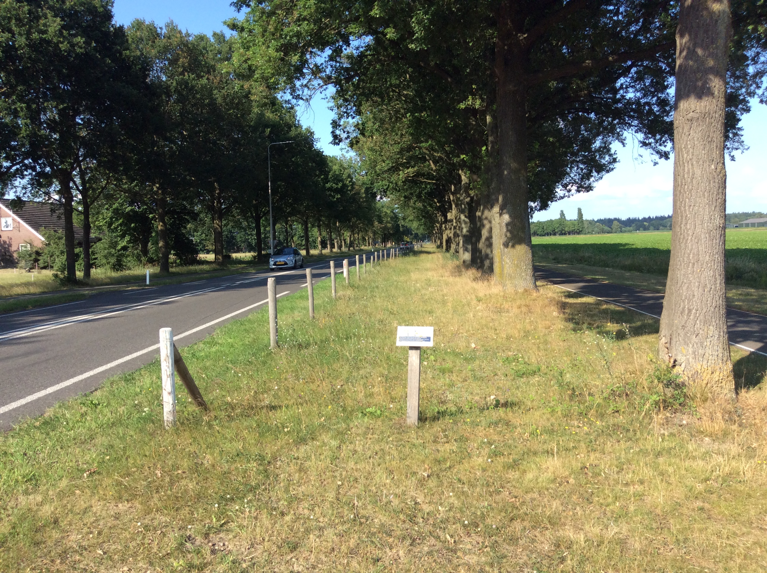 Gerdien Bos